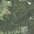 Search for juvenile reported on Homestead Road
