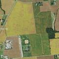 Loose dog and dirt bike reported near sports complex