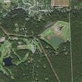 Tree blocks Iron Valley Drive and traffic on 322