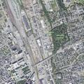Animal bite incident at State and Brady streets