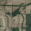 Loose pigs reported near rural residence