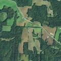38-year-old male with brain damage difficulty in Perry Township