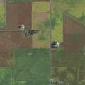 Animal bite incident reported in Dewey, Illinois