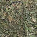 Allergic reaction at (number withheld) Fulmer Road in Lower Frederick