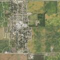 Ongoing small dog issue reported in Gifford