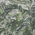 Woman with memory loss at Iris Drive home