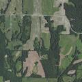 Tree blocking Route/Highway M in Clark County