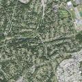 Children reportedly assaulted at local park