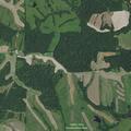 Traffic stop at Indian Hills Conservation Area