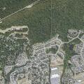 67-year-old woman confused at North Forest Street