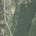 Tree blocking roadway on Mountain Road