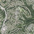 Dangerous snake reported on Woodrow Avenue