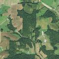 Person experiencing chest pain in Stone Creek