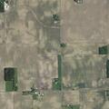 Cow reported in roadway near North 1000 West in Sharpsville