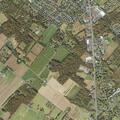 Business owner told to put out controlled burn