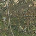 Person experiencing back pain near Old Woods Road in Milford Township