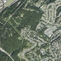 Woman takes pills and walks into woods near home