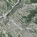 82-year-old woman falls and is unresponsive
