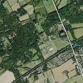Loose horses reported at Hopewell property