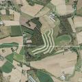 Female struck in head by croquet ball, unconscious