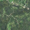 81-year-old male with accidental medication overdose