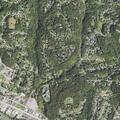Elderly female psychotic and attacking staff at Redstone