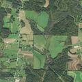 Loose dog reported near roadway in Bloomingdale