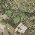 Person with back pain near Rolling Hills Road in Bedminster