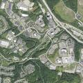 77-year-old woman with abdominal pain at Lincoln Highlands Dr