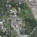 Juvenile chased and threatened near Westmoor Dr and nearby cornfield