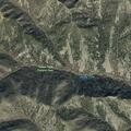 Tree fire on Yellow Fork Canyon Road