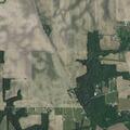 53-year-old man having allergic reaction in Bringhurst