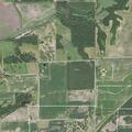 Naked man reported in front yard in Bardolph