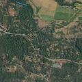 88-year-old male falls at Pine Meadows Drive