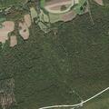Tree blocking roadway on Route 645 in Pine Grove