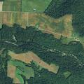 Unconscious breathing woman reported on State Route 520