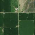 Field fire in standing corn near Showboat Boulevard