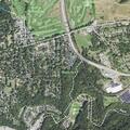 Dogs off leash reportedly tried to attack another dog