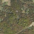 Person with respiratory distress near Winding Road in Springfield Township