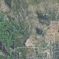 Loose poodles reported on North Homestead Drive
