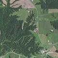 Sheep loose near Petty Mill Trail intersection