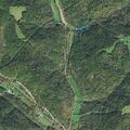 72-year-old male found disoriented near Bergholz