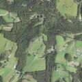 Child falls off horse in Kiski Township