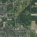 86-year-old woman falls with no injuries