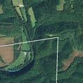 Fight and reported gunshot at Mohican Reservation