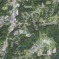 Neighbor dispute on Green Grove Drive