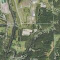 Loose dog running in street on Little Deer Creek Road