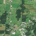 90-year-old woman with low oxygen near Millersburg