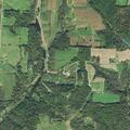 Neighbor’s cows reported on caller’s property