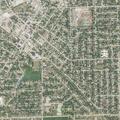 Dog attack and shooting at Morton apartment complex